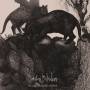 Takafumi Matsubara - Strange Beautiful And Fast