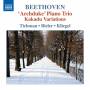 Tichman / Bieler / Kliegel - Klaviertrios Vol.5