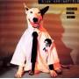Rick Springfield - Working Class Dog