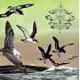 Flotation Toy Warning - Bluffer's Guide To The Flight Deck (2lp+mp3)