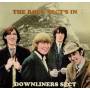 The Downliners Sect - The Rock Sect's Inn