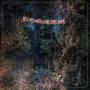 The Eyelids - The Accidental Falls
