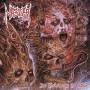 Master - An Epiphany of Hate