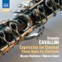 Nicola Bulfone / Marco Giani - Capriccios fr Klarinette