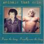 Animals That Swim - I Was The King, I Really Was The King