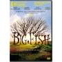 Big Fish / (dol Dts Ws) - Big Fish