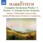 Christopher Lyndon-Gee / Arnhem PO - Orchesterwerke Vol.1