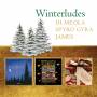 Al Di Meola / Boney James / Spyro Gyra - Winterludes