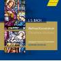 G. Wilhelm / Stuttgarter Hymnus-Chorknaben - Weihnachtsoratorium