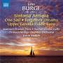 G'froerer / Mercer / Mallon / Thirteen Strings Ch.Orch. - Sinfonia Antiqua