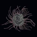 Ka Baird - Bearings: Soundtracks for the Bardos