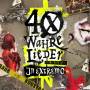 In Extremo - 40 wahre Lieder - The Best Of (2 CD)