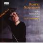 Denys Proshayev - Davidbndlertnze