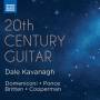 Dale Kavanagh - 20th Century Guitar