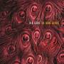 Kid Loco - The Rare Birds