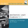 Idil Biret - Symphonien Vol.4