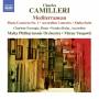 Farrugia / Bozac / Vaupotic / Malta Phil.Orchestra - Klavierkonzert Mediterranean/Akkordeonkonzert/+