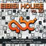 Various - eibisi house vol.10