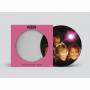 Abba - The Day Before You Came(Ltd. 2023 Picture Disc V7)
