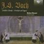 Matteo Messori - J.S.Bach: Schbler Chorale