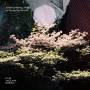 Johan Trio Lindvall - No City,No Tree,No Lake