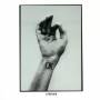 Otherkin - Ok