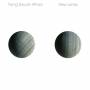 Flying Saucer Attack - New Lands