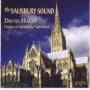 SALISBURY SOUND / VARIOUS - Salisbury Sound