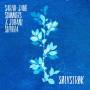 Sarah Jane Summers & Juhani Silvola - Solvstrok