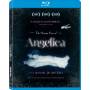 Strange Case Of Angelica / (sub) - Strange Case Of Angelica [US-Version, Regio 1/A]