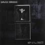 david Bridie - Act Of Free Choice