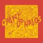 Omni Of Halos - Omni of Halos