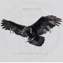 Buried In Verona - Vultures Above Lions Below