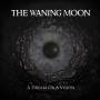 The Waning Moon - A Dream Or A Vision (lp)