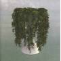 Errors - Lease Of Life (Digipak)