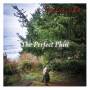 The Lowest Pair - The Perfect Plan