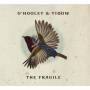 O'hooley & Tidow - Fragile