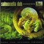 Salmonella Dub With Nzso & Guests - Live In Concert/Feel The Seasons Change