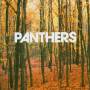Panthers - Things Are Strange
