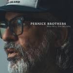 Pernice Brothers - Who will You Believe