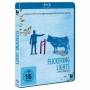 Various - Flickering Lights BD [Regio free (0)]