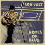 Son Volt - Notes of Blue