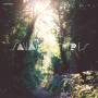 Savaging Spires - Savaging Spires