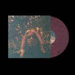 Turnover - PERIPHERAL VISION 10th Anniversary (Cherry Marble