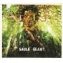Saule - Geant