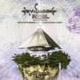 Rigel Ovnimoon - Omnipresent Technology
