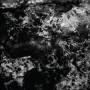 Cuts - A Slow Decay