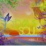 Magrus Borges / Adriana Cavalcante - Daime Soul