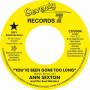 Ann Sexton - Youve Been Gone Too Long/I Had A Fight With Love