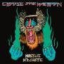 Hiatus Kaiyote - Choose Your Weapon